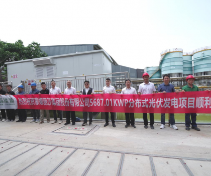 蒙娜麗莎西樵生產基地分布式光伏發電項目順利并網