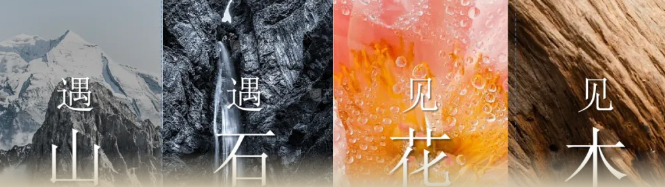 1729062276304687.png image.png