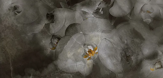 1729063095554081.png image.png